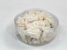 36 X STONE THE CROWS WHITE ROSES - 20PIECES - SKU: 226009 - TOTAL RRP £216