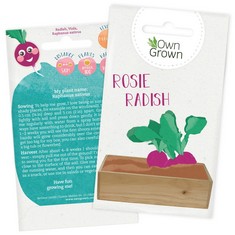 QUANTITY  OF GROW YOUR OWN RADISH SEEDS: PREMIUM RADISH SEEDS FOR KIDS AND ADULTS – KIDS GARDENING SEEDS FOR 100 RADISH PLANTS – VEGETABLE SEEDS FOR KIDS – CHILDRENS SEEDS FOR GARDENING VEGETABLE BY