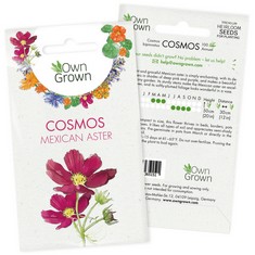 QUANTITY  OF SEEDS FOR GARDENING FLOWERS: PREMIUM PETUNIA SEEDS FOR 400 PETUNIA PLANTS – OUTDOOR FLOWER SEEDS – SUMMER SEEDS – HANGING PETUNIA FLOWER SEEDS FOR GARDEN POTS – GARDEN SEEDS FLOWERS – SE