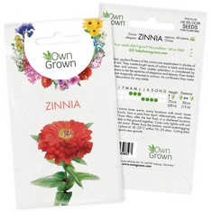 QUANTITY OF GROW YOUR OWN ZINNIA FLOWERS: PREMIUM ZINNIA SEEDS FOR 60 ZINNIA PLANTS – OUTDOOR FLOWER SEEDS – SUMMER SEEDS – ZINNIA SEEDS FOR GARDENING FLOWERS – SUMMER FLOWER SEEDS – ZINNIAS SEEDS BY