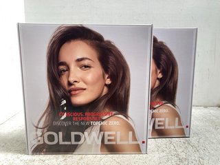 2 X GOLDWELL TOPCHIC ZERO AMMONIA FREE PERMANENT HAIR COLOUR SETS: LOCATION - G12