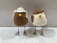 8 X STONE THE CROWS MEDIUM ROBINS - SKU: 133029 - TOTAL RRP £120