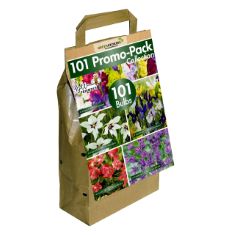 BOX OF GREENBROKERS COLOUR COLLECTION SUMMER FLOWERING BULBS RED, MIXED VARIETIES (PACK OF 50) "BEE & BUTTERFLY FRIENDLY".