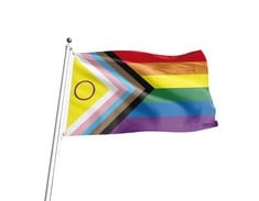 39 X INTERSEX INCLUSIVE PROGRESS PRIDE RAINBOW FLAG, 3FT X 5FT, GAY PRIDE TRANSGENDER LESBIAN FLAG, LGBT COMMUNITY FLAG, HOUSE DECORATION PRIDE BISEXUAL BANNER GIFT - TOTAL RRP £194: LOCATION - RACK