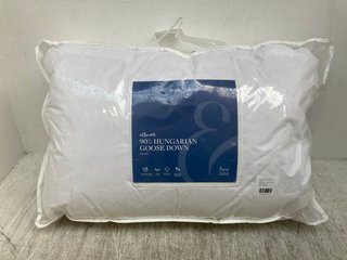 SOAK & SLEEP HUNGARIAN GOOSE DOWN PILLOW: LOCATION - C2