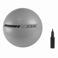 10 X GOZONE 65CM SILVER EXERCISE BALL.