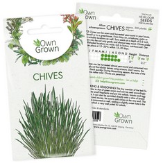 QUANTITY OF CHIVE SEEDS  ALLIUM SCHOENOPRASUM, , PERENNIAL HERB PLANTS FOR PLANTING INDOOR AND GARDEN, GROW YOUR OWN CHIVE PLANT: HERB SEEDS FOR ABOUT 400 CHIVE PLANTS BY OWNGROWN - TOTAL RRP £103: L