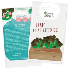 QUANTITY OF GROW YOUR OWN LETTUCE SEEDS: PREMIUM LEAF LETTUCE SEEDS FOR KIDS AND ADULTS KIDS GARDENING SEEDS FOR 200 LETTUCE PLANTS VEGETABLE SEEDS FOR KIDS CHILDRENS SEEDS FOR GARDENING VEGET: LOCAT