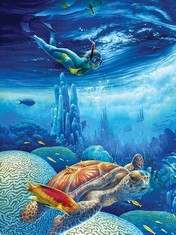 QUANTITY OF ASSORTED ITEMS TO INCLUDE SHOWKER DIY 5D DIAMOND PAINTING SEA TURTLE KIT FOR ADULTS - DIAMOND ART NAUTICAL MILE RHINESTONE CRYSTAL EMBROIDERY CROSS STITCH | HOME WALL DECORATION - 30X40 C