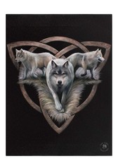 25 X SOMETHING DIFFERENT CANVAS PLAQUE | WALL TRIO BY ANNE STOKES | H25CM X W19CM X D1.5CM | PACK OF 1 - TOTAL RRP £104: LOCATION - RACK F