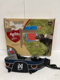 ASSORTED PET ITEMS INC AGILITY FLYBALL FOR DOGS