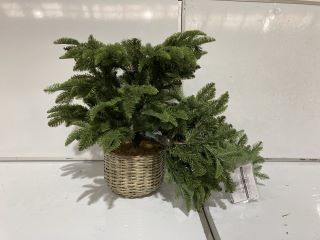 A QTY OF THE WHITE COMPANY ITEMS TO INCLUDE XMAS DECORATIONS 4.5FT PRE LITTLE TREE GREEN TOTAL RRP£145.00