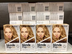 24 X CLAIROL BLONDE IT UP PERMANENT HAIR DYE, PLATINUM BRONDE, 270G: LOCATION - G