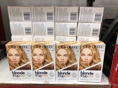 24 X CLAIROL BLONDE IT UP PERMANENT HAIR DYE, PLATINUM BRONDE, 270G: LOCATION - G