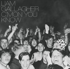 QTY OF ITEMS TO INLCUDE 5X ASSORTED VINYLS TO INCLUDE C’MON YOU KNOW, A LOVE LETTER TO YOU 3 [VINYL].