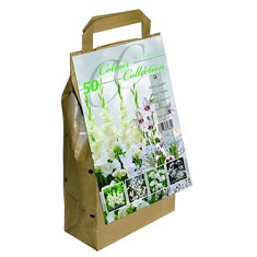 QTY OF ITEMS TO INLCUDE 30X ASSORTED BULBS TO INCLUDE GREENBROKERS COLOUR COLLECTION SUMMER FLOWERING BULBS WHITE (PACK OF 50), GREENBROKERS COLOUR COLLECTION SUMMER FLOWERING BULBS RED, MIXED VARIET