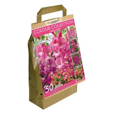 QTY OF ITEMS TO INLCUDE 30X ASSORTED BULBS TO INCLUDE GREENBROKERS ALL SUMMER LONG FLOWERING BULBS, MIXED VARIETIES, MIXED COLOURS (50 BULBS) BIG VALUE PACK "BEE & BUTTERFLY FRIENDLY", GREENBROKERS C