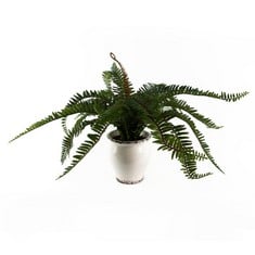 8 X LEAF ARTIFICIAL REALISTIC NATURAL LOOK MOSS FERN IN POT,40CM.