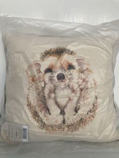 1 X BOX  OF HEDGEHOG PILLOWS