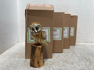 4 X PAINTED WOOD TAWNY OWLS: LOCATION - G8