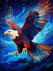 QUANTITY OF ASSORTED ITEMS TO INCLUDE ZEYEVAN 5D DIAMOND PAINTING KITS FOR ADULTS EAGLE, DIY DIAMOND ART KITS ANIMALS ROUND RHINESTONE CROSS STITCH EMBROIDERY FOR BEDROOM LIVING ROOM OFFICE 30X40CM R