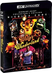 QTY OF ITEMS TO INCLUDE APPROX 50X ASSORTED DVDS TO INCLUDE WILLY'S WONDERLAND (COLLECTOR'S EDITION), KUBO WON'T LET ME BE INVISIBLE COMPLETE COLLECTION.