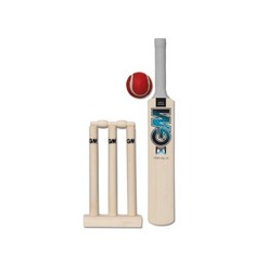 QTY OF ITEMS TO INCLUDE ASSORTED SPORTS ITEMS TO INCLUDE GUNN & MOORE GM YOUNG GUNN MINI CRICKET SET | DIAMOND B55S | MINIATURE BAT, STUMPS, BAILS AND SOFT BALL | ONE SIZE, AMONAX GYM EQUIPMENT FOR H