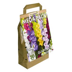 QTY OF ITEMS TO INCLUDE 20X ASSORTED BULBS TO INCLUDE GREENBROKERS BIG BUY MEGA PACK GLADIOLI (50 BULBS), MIXED COLOURS, SUMMER, GREENBROKERS BIG BUY MEGA PACK FREESIA (SINGLE) SUMMER FLOWERING BULBS