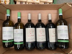 6 X BOTTLES OF ASSORTED RED/WHITE WINE TO INCLUDE ANGELO MENDOZA DE FINCA LA ANITA - LUNA MALBEC 2022 RED WINE - 1,5L / 13.5%VOL