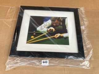 AUTOGRAPHED PROFESSIONAL POOL PLAYER WALL HANGING: LOCATION - C5