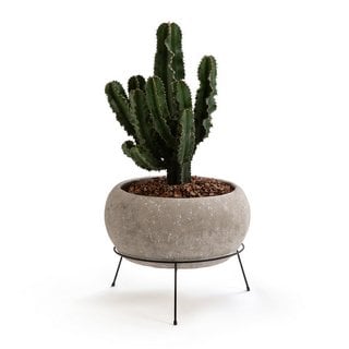 AM.PM OLLAM ROUND CEMENT PLANT POT. RRP - £115: LOCATION - BR2