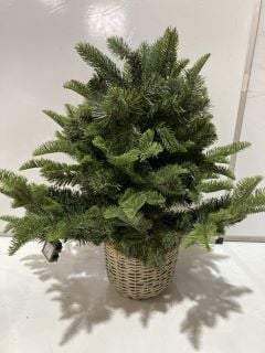 THE WHITE COMPANY 3FT PRE-LIT FREE GREEN RRP £115