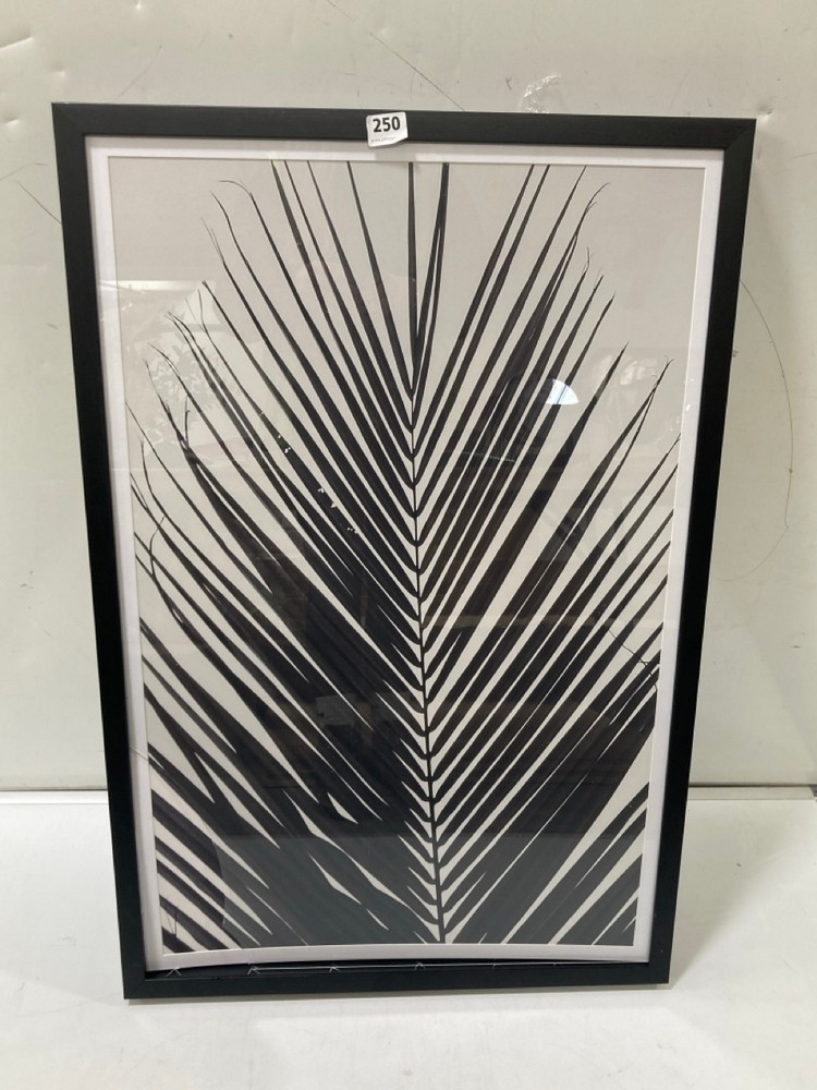 MONOCHROME PALM FRAMER ART (BROKEN)