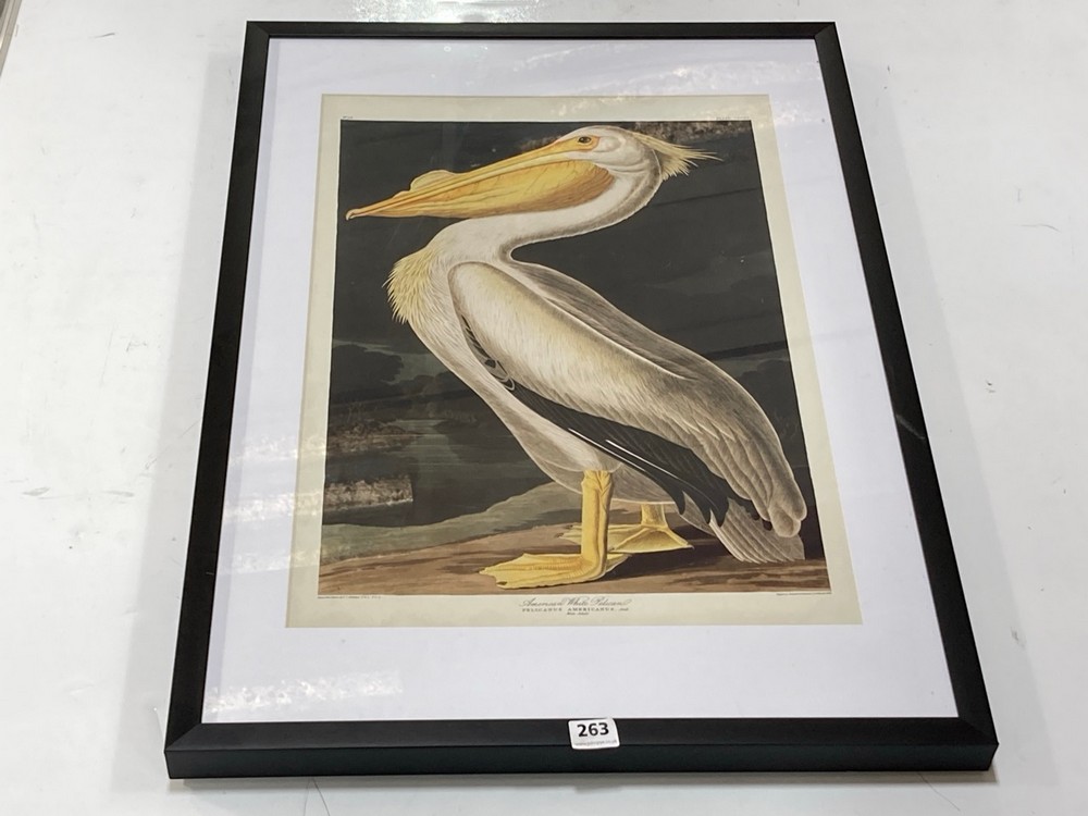 PELICAN FRAMED ART - RRP £150