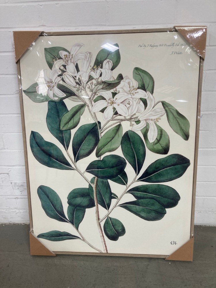 FOLIAGE AND BLOOMS FRAMED CANVAS SIZE 62 X 82CM