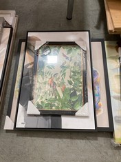 3 X JOHN LEWIS DECORATIVE PHOTOS TO INCLUDE TROPICAL TOUCANS FRAMED PHOTO