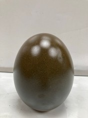 36 X STONE THE CROWS SMALL EGG - RUSSET - 0 - TOTAL RRP £180