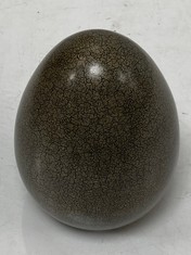 12 X STONE THE CROWS LARGE EGG - TOTAL RRP £228