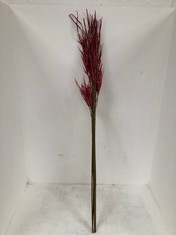 96 X STONE THE CROWS MAUVE SPIDER ORCHID - HEIGHT 119CM - TOTAL RRP £576