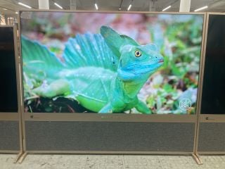 LINNET AND LARSEN 65" UHD TELEVISION MODEL LL6501UHDS (WITH STAND, WITH POWER LEAD, NO REMOTE, NO BOX) RRP £699