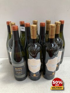 6 X BOTTLES OF DUCA DI SASSETA TERRE SICILIANE CARRICANTE DRY WHITE WINE 2022 75CL 12.5% VOL TO ALSO INCLUDE 6X BOTTLES OF ALMA MORA SELECT RESERVE CHARDONNAY 2022 75CL 13% VOL (WE OPERATE A CHALLENG