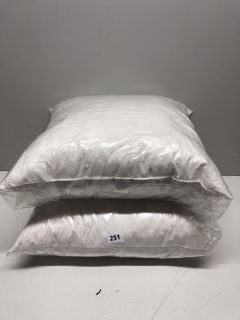 2 X JOHN LEWIS SCATTER CUSHIONS