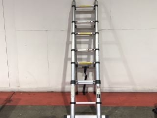 YONGKANG MINGSHUO TELESCOPIC LADDER 15OKG LOAD