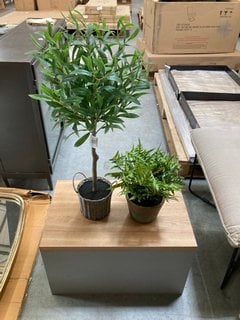 3 X JOHN LEWIS & PARTNERS ITEMS TO INCLUDE FAUX FERN BUSH IN TERRACOTTA: LOCATION - BR12