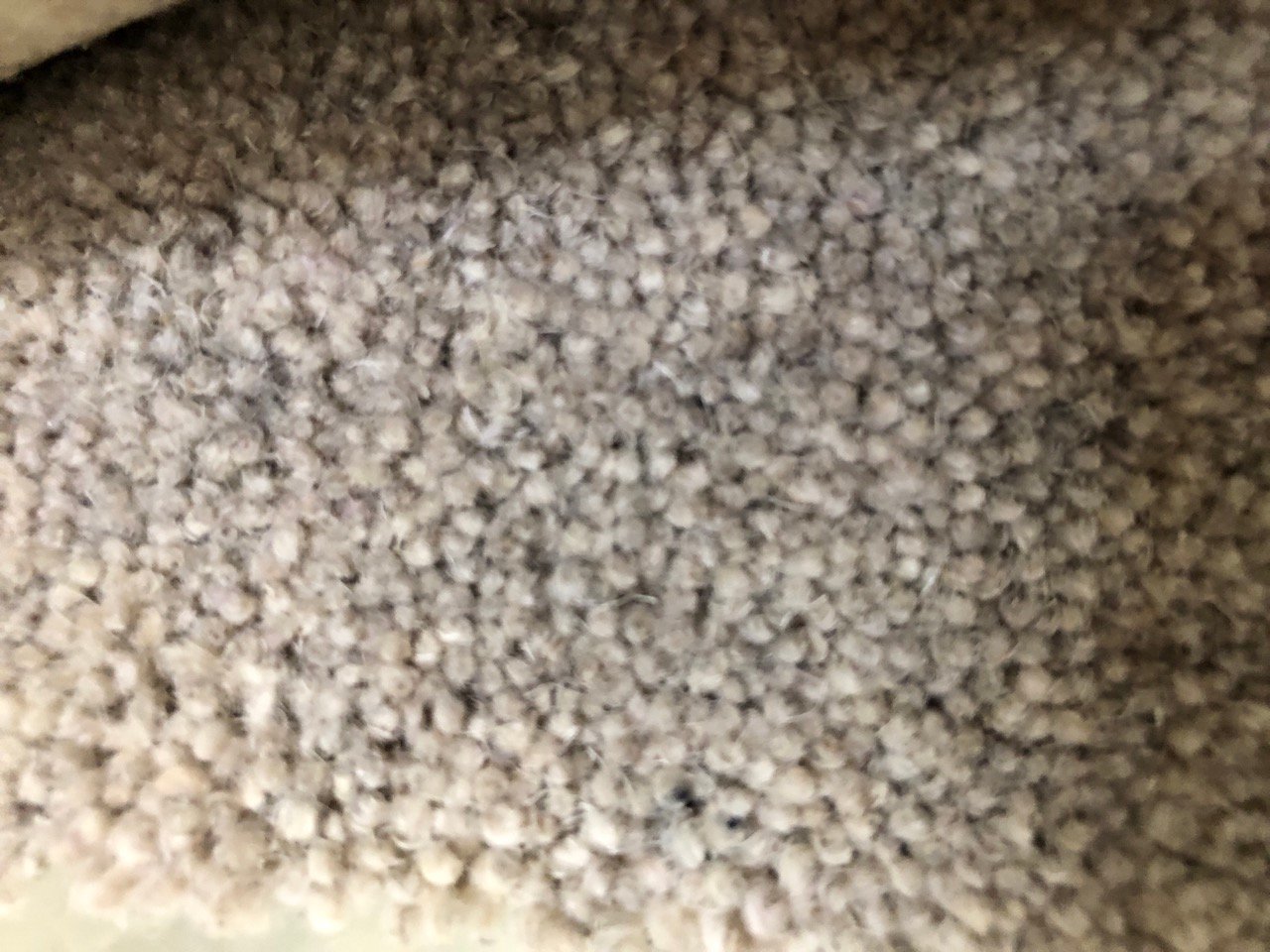 QUANTITY OF ASSORTED CARPETS TO INCLUDE ULTIMATE IMPRESSIONS MERIT COLOURED CARPET APPROX WIDTH 5M - COLLECTION ONLY - LOCATION CARPET RACKS