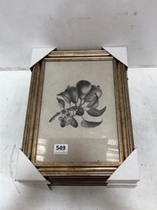 SET OF 4 ' BOTANICAL PRINTS ' FRAMED PRINTS - GOLD