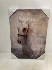 6 X BQF2 HORSE CANVAS ART 30X42X2.7CM