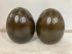 18 X STONE THE CROWS SMALL EGG - RUSSET - 0 - TOTAL RRP £90