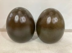 18 X STONE THE CROWS SMALL EGG - RUSSET - 0 - TOTAL RRP £90