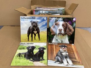 QTY OF ASSORTED 2025 DOG CALENDARS IN VARIOUS BREEDS: LOCATION - H10